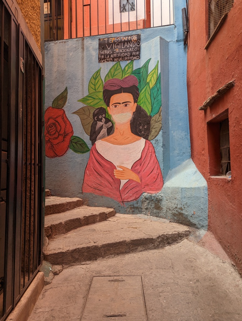 street art of Frida Kahlo with monkey on her shoulder and mask over her mouth